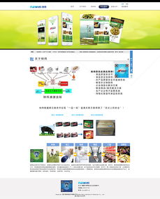 網(wǎng)站設(shè)計(jì)與網(wǎng)頁制作 從構(gòu)思到實(shí)現(xiàn)的藝術(shù)與科學(xué)